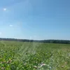 anjela_kyjelikova