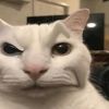 romel_slays183839
