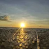 tuanhuynh_81