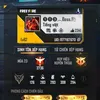 dentufreefire123
