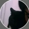 sasaa7xl