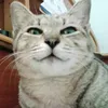 tuanxautinh_
