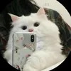 k_uyen0806