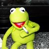 yaboikermitdafrog
