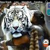 user2185119597006