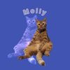 momnyaMolly🐱