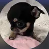 ngankhanhphammm