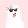 lin_rarww