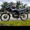 kucing_3590