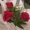 www.tiktok.com.sport.kg