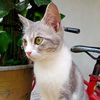 nadine.aulia44