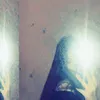 gwinksil1