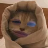 lexieeqr