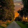 abuhammody6