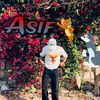 m.asifking3