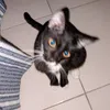 b3ca_xy