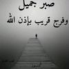 mohamedomer9436