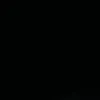 adam_therd