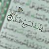 dy50y3khvtfn