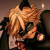 chat_noir.8.8