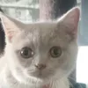 ofc_i_am_mini