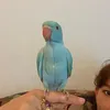 77marija7