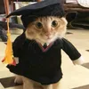 boiiqwe
