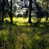 koitham