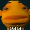 peleamongus