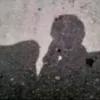 rasoolrasoolaltam