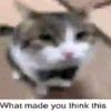 youre_in_denial