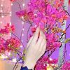 sania__066