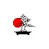ayustoree3