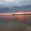 laitovaja