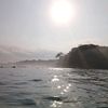 vesyaci