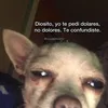 boladissima01