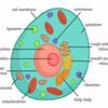 bgcsesciencesmaths