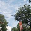kelysastp105