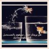 basma29020