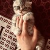 nataly_08310