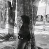 dila31x