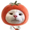 meoocam04