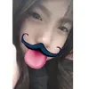 haan_019