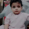 zamanjani931gmail.com