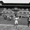 rajeshshrestha8050