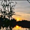 sandeesh24