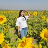 myat0271