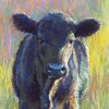 joeyzhao375