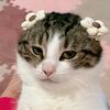 miumiu2__