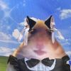 tot_samiy_scrach76